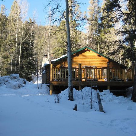 Cabin By The Creek With High Speed Wifi Red River Kültér fotó