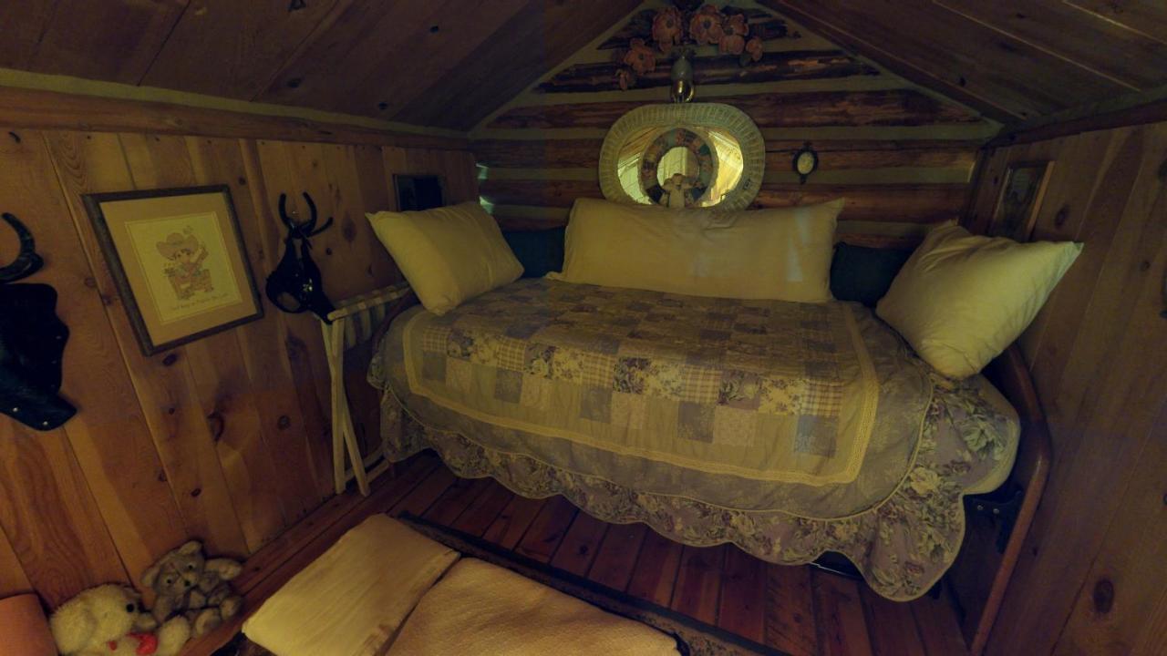 Cabin By The Creek With High Speed Wifi Red River Kültér fotó